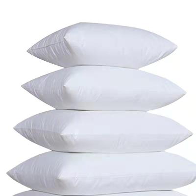 China Other hotel cushion cotton filled pillow inner bed cushion insert in wholesale for sale