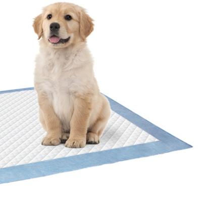 China Super Absorbent Plain Weave Pet Bed Cushion Disposable Pet Under Pad OEM Nonwoven Pet Pad for sale