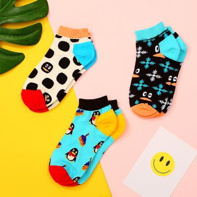 China Antibacterial Sports Men's Spring Sock Eco-Friendly Small Dots Fitted Combed Cotton Low Spring Summer Cut Out Socks for sale