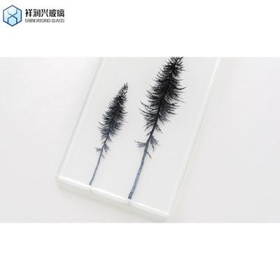 China Bauglaswandplatten Flachpolierte Kante 3-30mm Transparentes Sicherheitsglas zu verkaufen