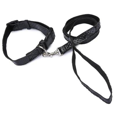 China Viable dog collar and leash set from bulk dog training collar manufacturers for sale