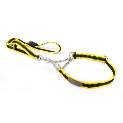 China Wholesale Luxury Comfortable Heavy Duty Nylon Reflective Dog Leash Pet for sale