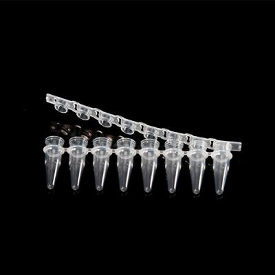 China 0.2ml 8 Strip PCR Tubes for sale