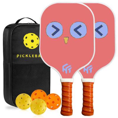 China Graphite Fiberglass Pickleball Paddle Set For Novice Practice 40*20*1.4 USAPA Certified for sale