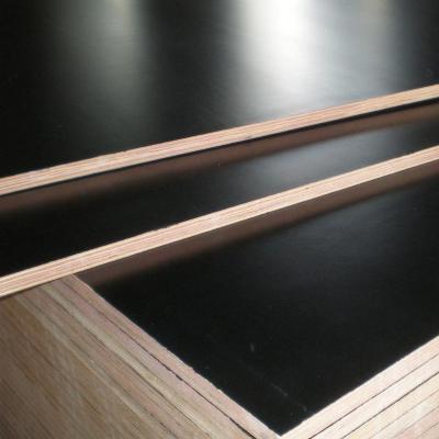 China 2022 high quality eco-friendly plywood 18mm fleece film faced plywood board for construction for sale