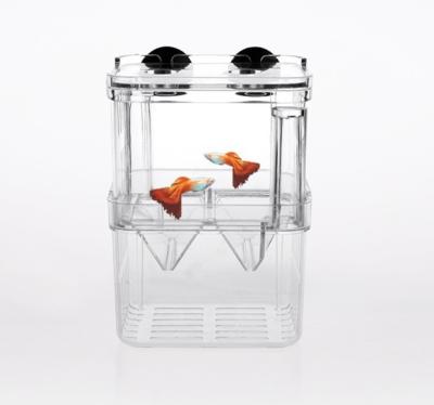 China Viable Aquarium Acrylic Multiplication Isolation Box For Fish Incubator for sale