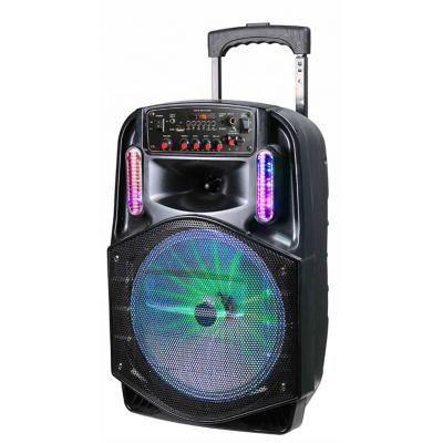 China Manufacturer Portable Subwoofer Large Powered 8 Inch High-Fidelity BT Karaoke Wireless Speakers for sale