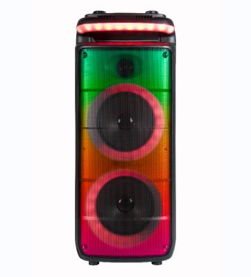 China Modern Powerful Rechargeable Dual 8 Inch Speaker Poratble Audio for sale