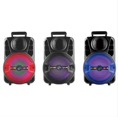 China Hands Free Portable Portable Outdoor Active Loudspeaker Large Battery Subwoofer Home Karaoke Audio for sale