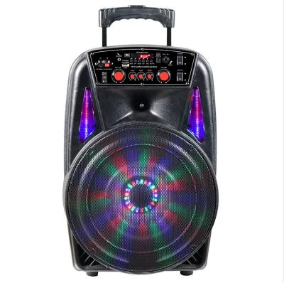 China Hot Selling Private Model T-8613 TWS PORTABLE Wireless Karaoke Cart Speaker 12 Inch Built in Battery and Amplifier for sale