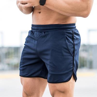 China Anti-Wrinkle Muscle Fitness Mens Sports Shorts Mesh Quick-Drying Casual Running Training Beach Shorts Custom Made Shorts for sale