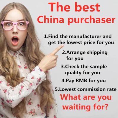 China Agent 1688 Wholesale Market Sourcing Agent And Purchasing Buying DDP ONE STOP Shipping DropShipping Low Commission Tesrida for sale