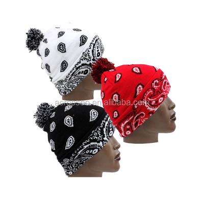 China COMMON Unisex Winter Jacquard Acrylic Paisley Skull Knitted Pom Hat for sale