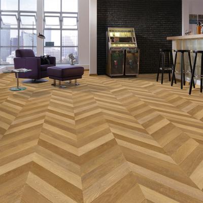 China JBS70001 Herringbone Modern Flooring EIR Laminate Florida High Quality Waterproof 12mm Bevel 8mm Paint Herringbone Parquet Laminate Flooring for sale