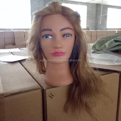 China 100% Fashionable Hair Mannequin Heads Beauty Salon Training Head for sale