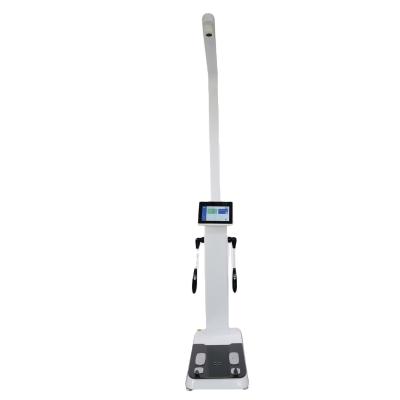 China high quality body fat composition analyzer weight height scale IN-F500 for sale