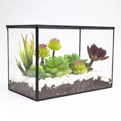 China Eco-Friendly Anlage Geometric Rectangle Co-Arts Mini Greenhouse Glass Planter Large for Indoor Tableware Terrario Plant and Store Plant for sale