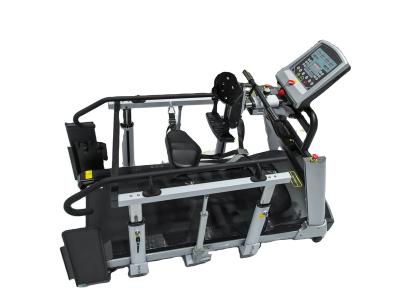 China 580x1435mm Rehabilitation Center Training Equipment Gait Training Equipment for sale