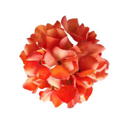 China Hot Sale Cheap Cost Decoration Durable 27 Petals Artificial Coated Hydrangea Head For Sale for sale