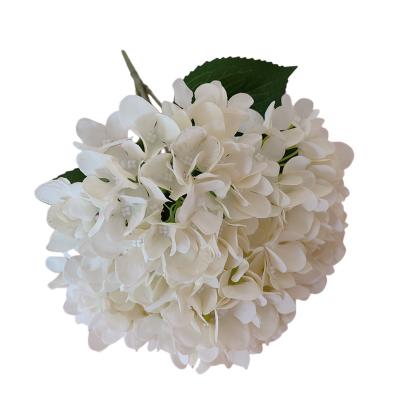 China Durable White Hydrangea 5 Heads Hydrangea Artificial Flower For Decoration for sale