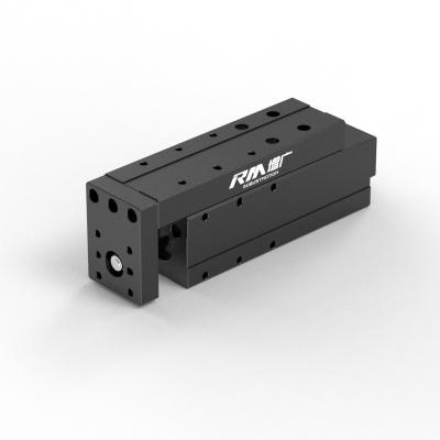 China RM-NPLA elektrische lineaire actuator, micro-platform-type lineaire actuator, hoge snelheid en gestaag Te koop