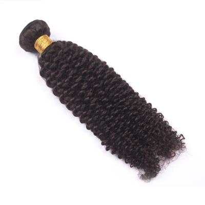 China 2019 Kinky Curly Brazilian Remy Human Hair Hot Kinky Curly Bundle for sale