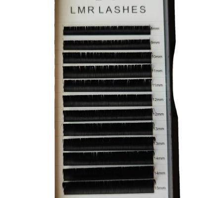 China Wholesale Individual Easy Natural Soft Fan Eyelash Extensions Rainbow Eyelash Extension for sale