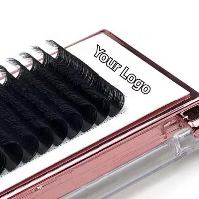 China Natural Soft Volume Eyelash Extensions Faux Mink Flare Easy Fan Eyelash Extension Natural Easy Fan Flaps Tray for sale