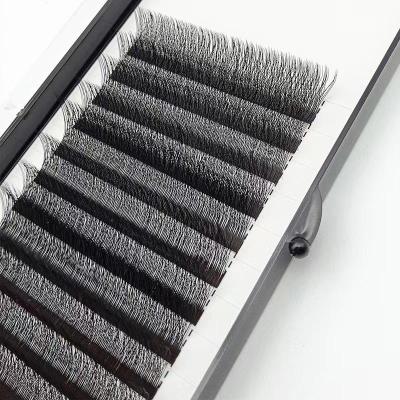 China Simple Princess Eyelash Shape Natural Soft Wholesale Fake Hair Extension W for sale