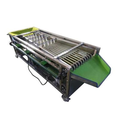 China Fruit Processing Plant Fruit Grading Machine For Tomato Cherry Fruit Vegetables Picking Grader Small Machine for sale