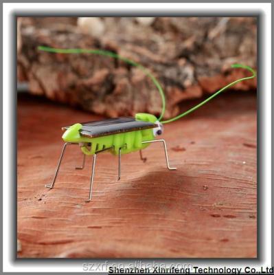 China patent mini solar grasshopper solar toy / baby solar-patented product 45*25*20mm for sale