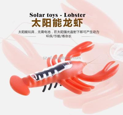 China New Fashion Patent Educational Cute Gift Solar Science Toys Lobster for sale