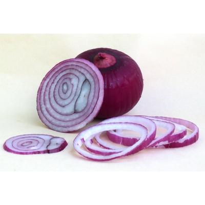 China Fresh fresh red onion packing in cartons /mesh bags for sale