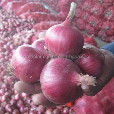 China China High Quality Fresh Fresh Red Onion In Mesh Bag for sale