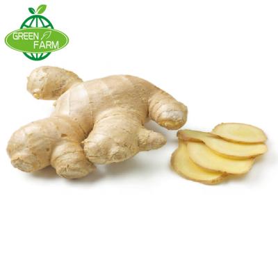 China A QIU fresh fresh ginger wholesale price sales, delivery quickly for sale