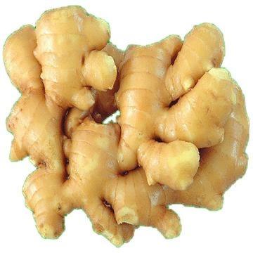 China Fresh 150g+ ginger, fresh, packed in mesh bags, plastic cartons, Cb cartons for sale