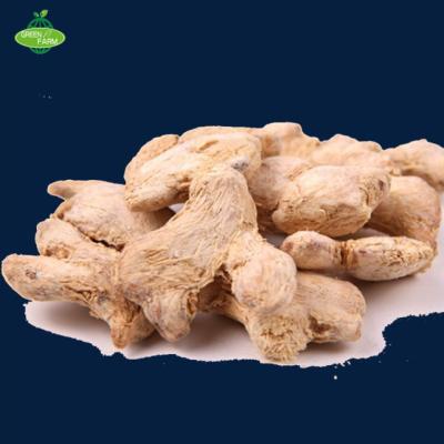 China Fresh whole dried ginger for sale