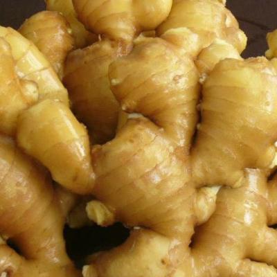 China Export Fresh Vegetables In Malaysia 1kg Fresh Ginger Price for sale