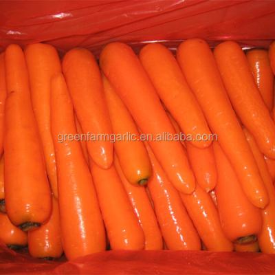 China New fresh fresh carrot supplier from China for sale