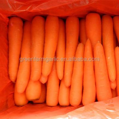 China Fresh Fresh Carrot Export To Middle East for sale