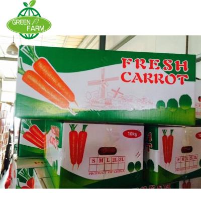 China High Quality Fresh Organic Food China Carrot Price In Jebel Ali for sale