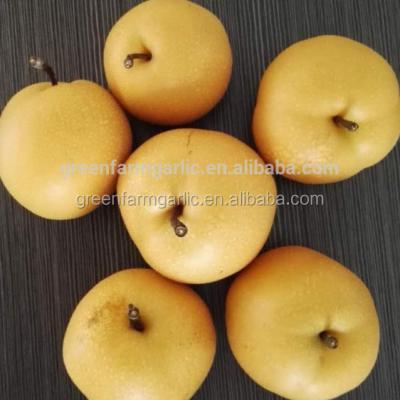 China Malaysia Fresh Fruit Export Korean Pear for sale