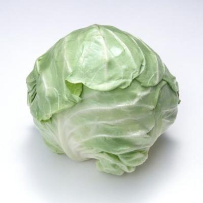 China Seasonal organic food cabbage, export package vegetables, export cabbage for sale