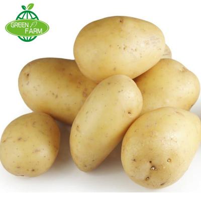 China Fresh high quality potatoes are hot sellers in autumn 2019, 150-250g/cartons mesh bag for sale