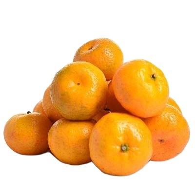 China Fresh china tangerine for sale for sale