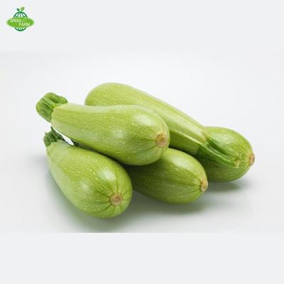 China 2019 wholesale fresh fresh zucchini at low prices for sale