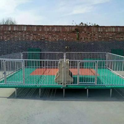 China Durable Farms Pig Farm Equipment Galvanized Pig Farm Production Crate Pig Tools For Direct Sale for sale