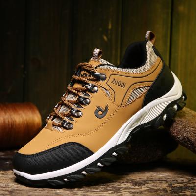 China Large size men's shoes 46 47 non-slip wear-resistant outdoor sports shoes fashion trend Autumn Men's low-top climbing shoes for sale