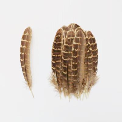 China Decorations Factory Direct Price High Quality Natural Pheasant 10-16 Cm Mother Mountain Chicken Feather for sale