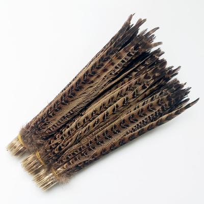 China Decorations China Professional Manufacturer Pearl Duster 20-25cm Mother Mountain Chicken Tail Feather for sale